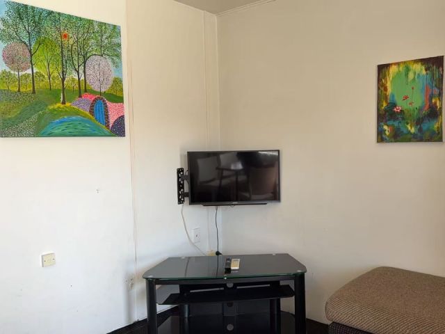 One-Bedroom Unit - TV